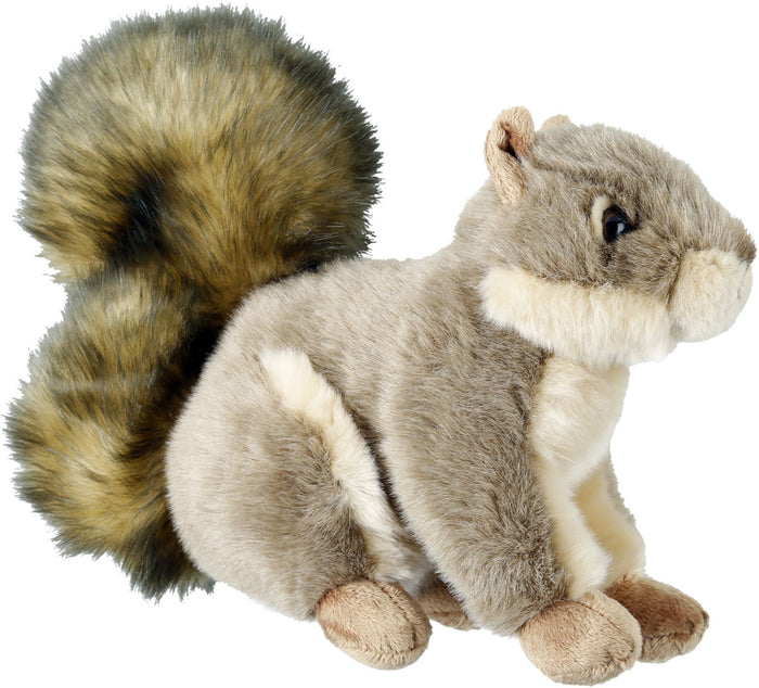 SQUIRREL / _