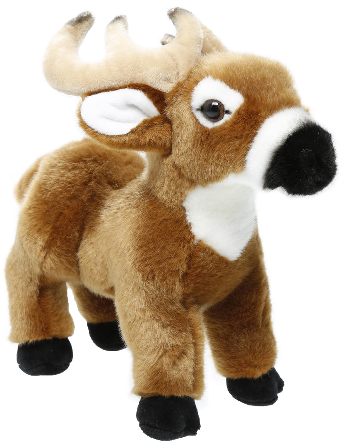 Stuffed Animal